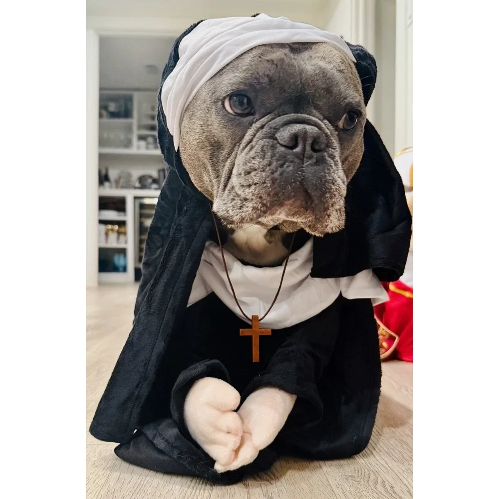 Nun Dog Costume Size Large Pet Halloween Habit Veil Cross Complete